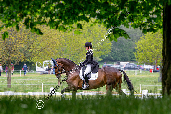 Houghton International