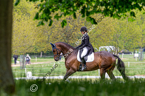 Houghton International