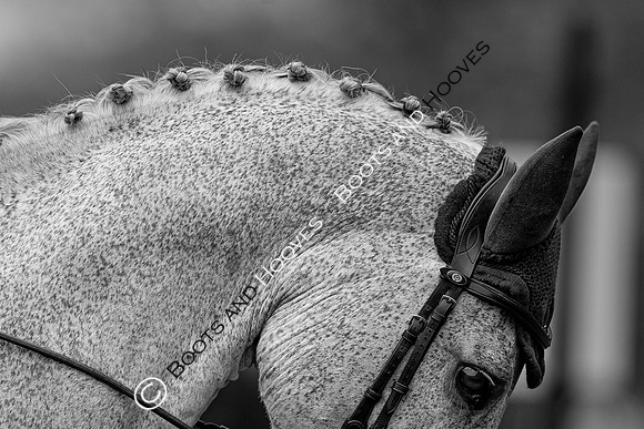 Houghton International