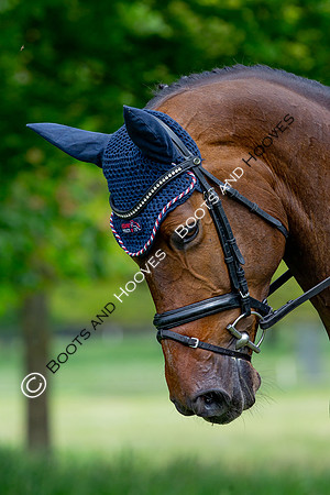 Houghton International