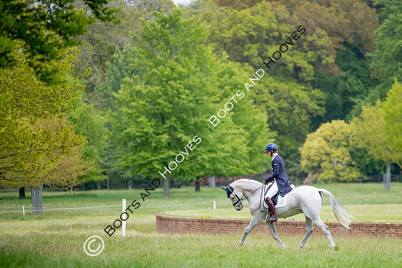 Houghton International