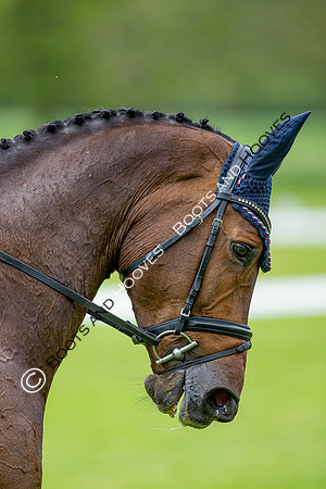 Houghton International