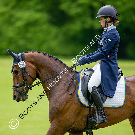 Houghton International