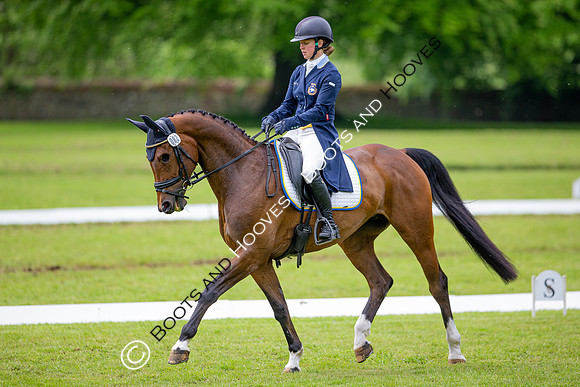 Houghton International