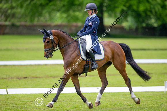 Houghton International