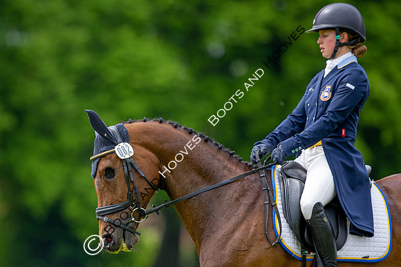 Houghton International