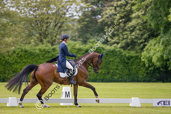 Houghton International