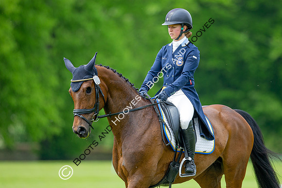 Houghton International