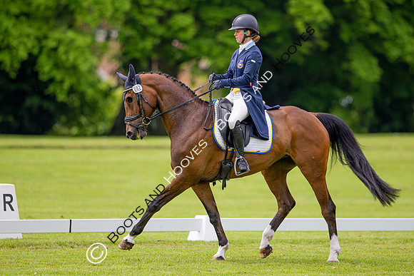 Houghton International