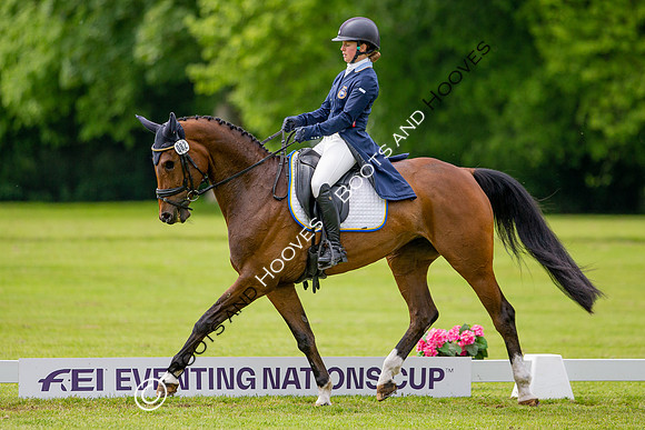 Houghton International