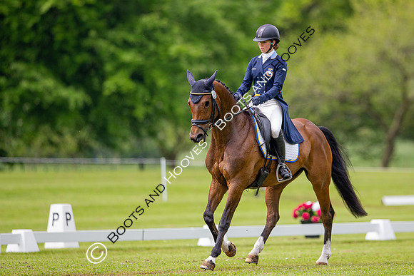 Houghton International