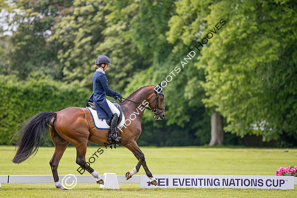 Houghton International