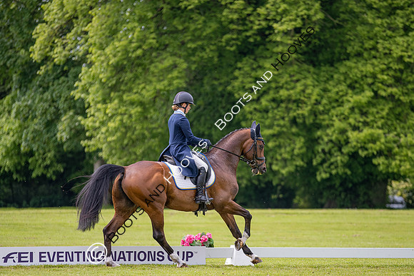 Houghton International