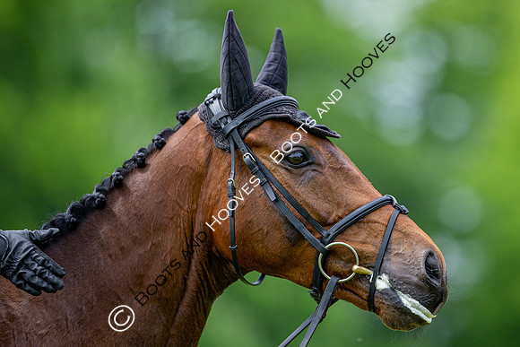 Houghton International