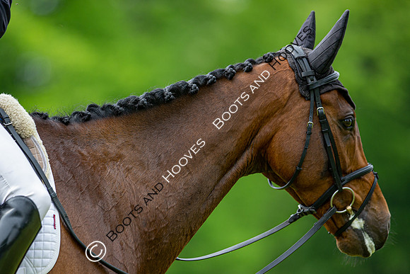 Houghton International