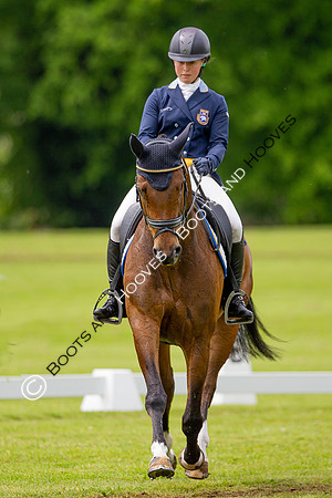 Houghton International