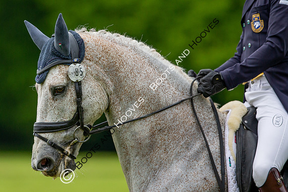 Houghton International