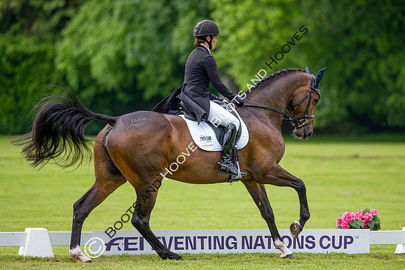 Houghton International