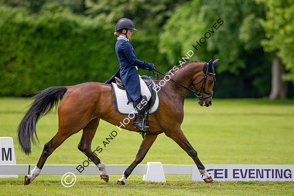 Houghton International