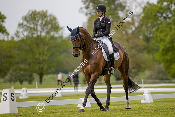 Houghton International