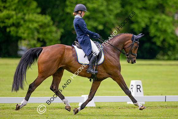 Houghton International