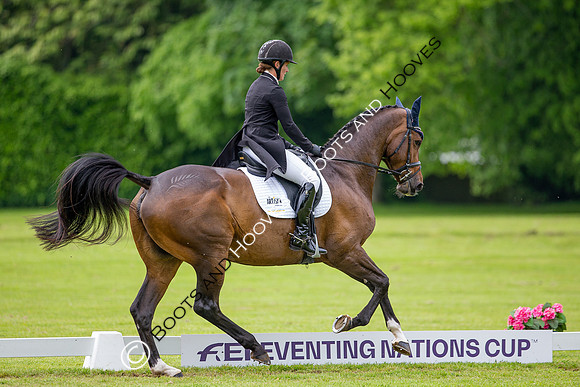 Houghton International