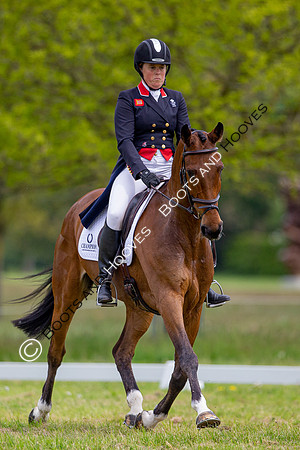 Houghton International