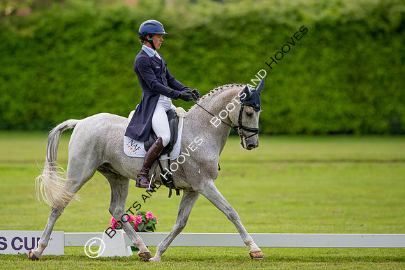 Houghton International