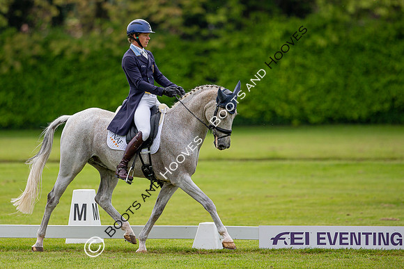 Houghton International