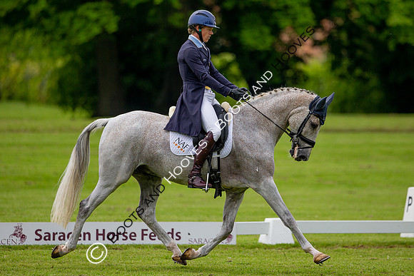 Houghton International