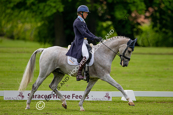 Houghton International