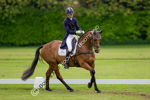 Houghton International