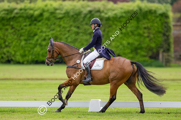Houghton International