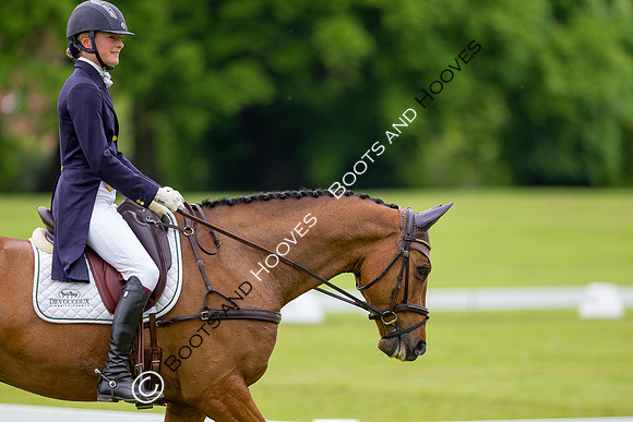 Houghton International
