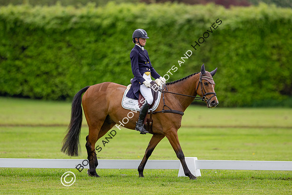 Houghton International