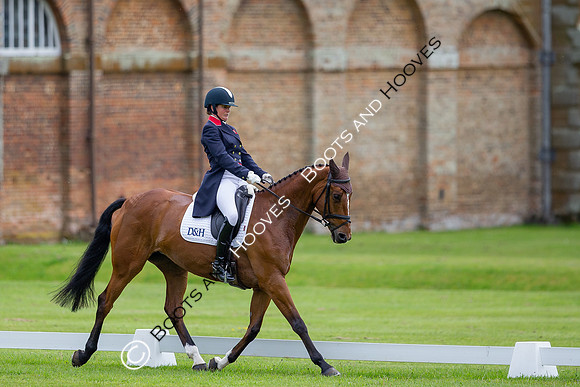 Houghton International