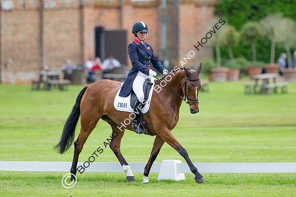 Houghton International