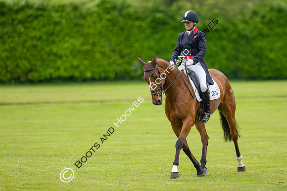 Houghton International