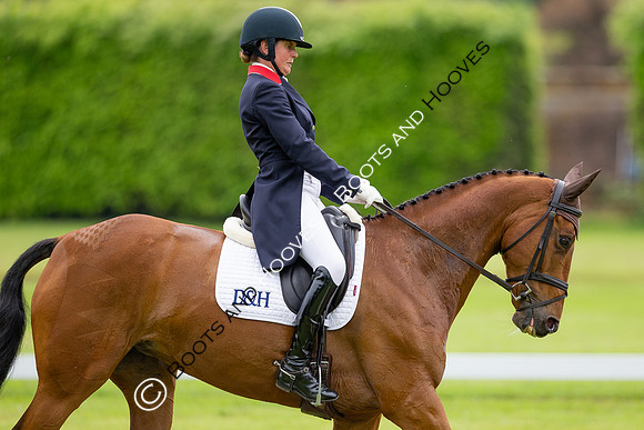 Houghton International