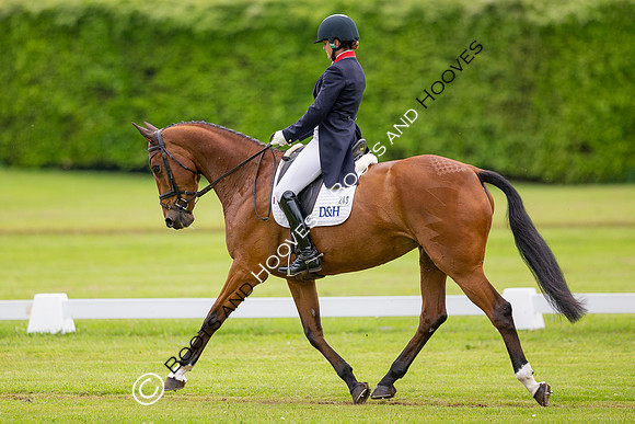 Houghton International