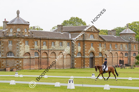 Houghton International