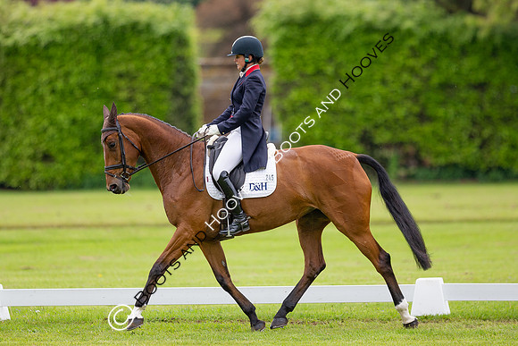 Houghton International