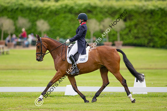Houghton International