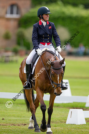 Houghton International
