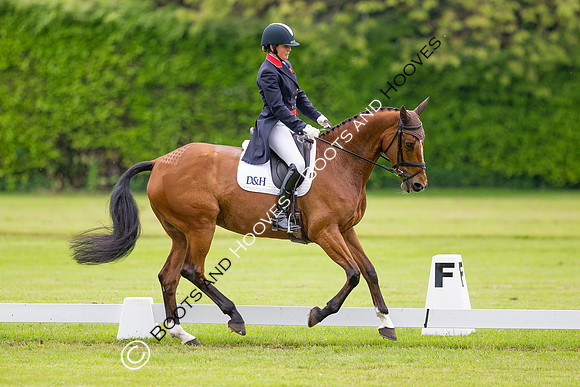 Houghton International