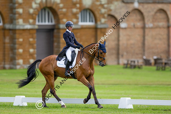 Houghton International