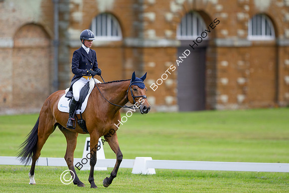 Houghton International