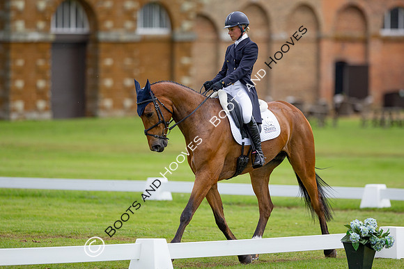 Houghton International