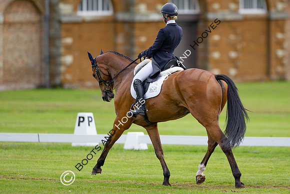 Houghton International