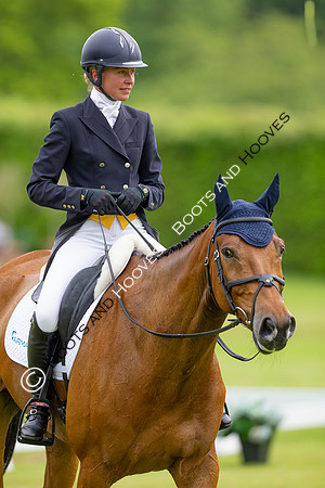 Houghton International